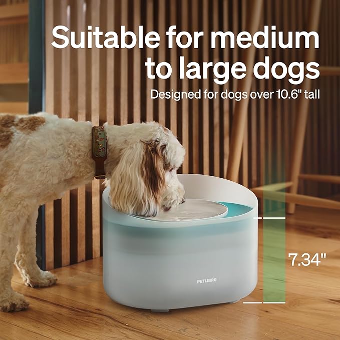 PETLIBRO 2.1Gal/8L Dog Water Fountain - Image 7