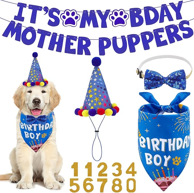 Dog Birthday Decorations, Dog Birthday Hat by Guiqulai