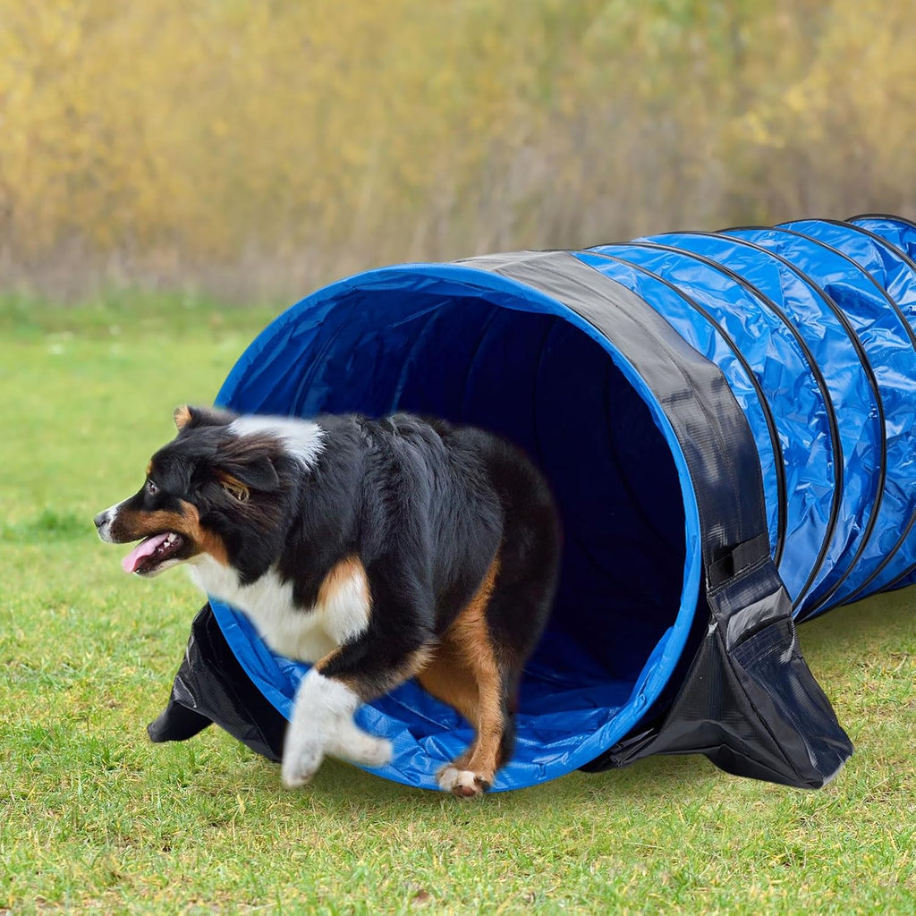Briwooody 28in X 10ft Dog Agility Tunnel PVC for Large Dogs, Blue
