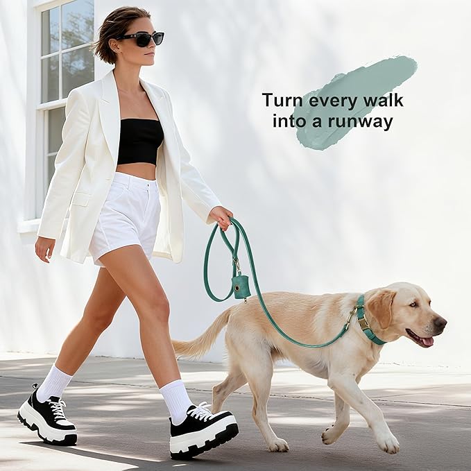 Didog Soft PU Leather Dog Collar, Stylish Quick Released Dog Collar - Image 4