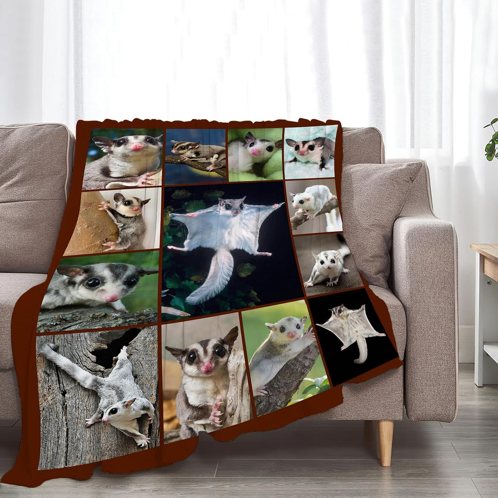Sugar Glider Blanket,Cute Weasel Animal Lover Throw Blanket Gifts 50"X40"