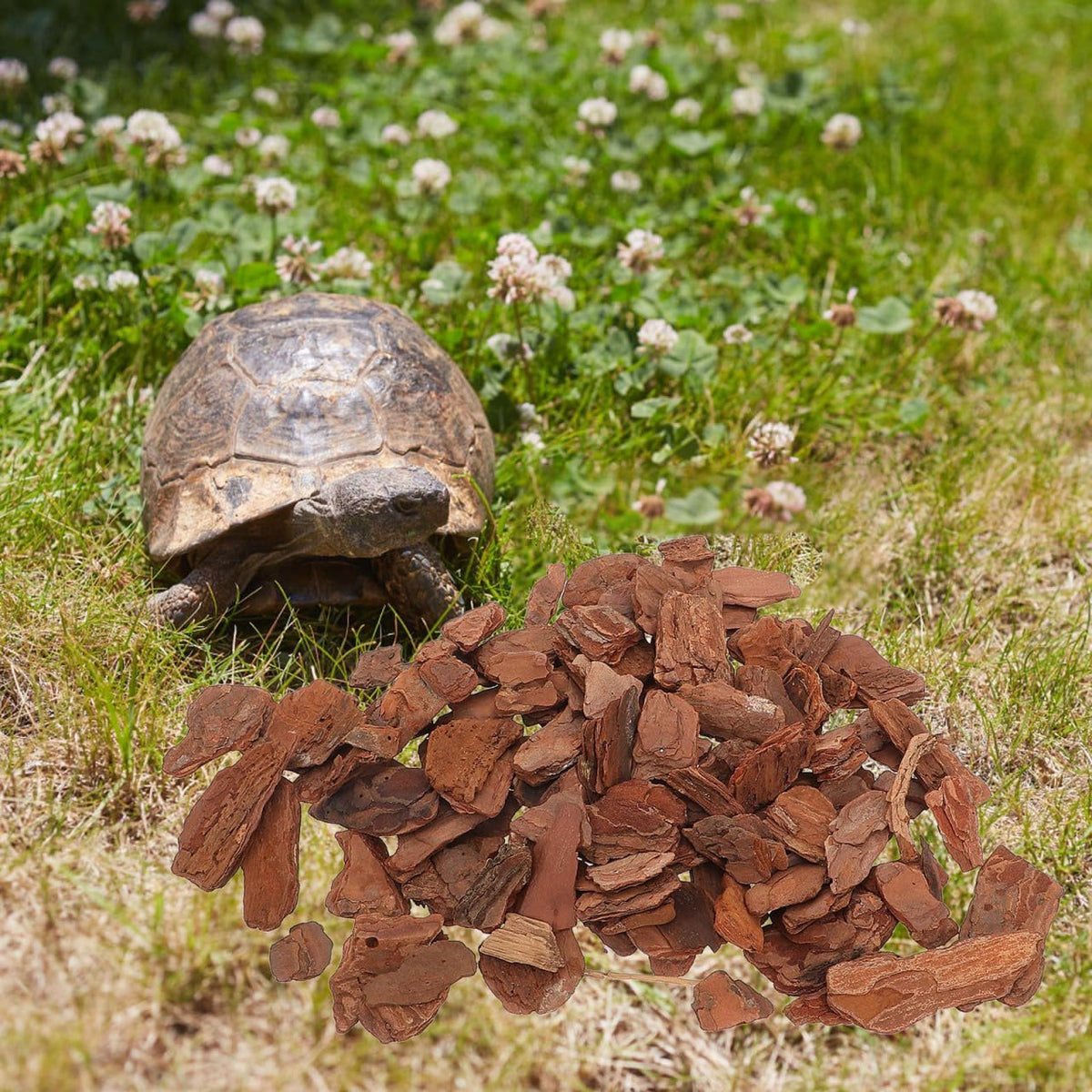 Kisangel 1Bag Natural Pine Bark Reptile Chips Terrarium Bedding Substrate