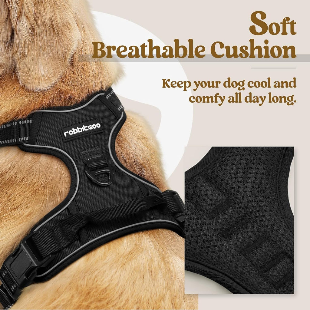 rabbitgoo Dog Harness, No Pull for Small Dogs with 2 Leash Clips, Pet Vest