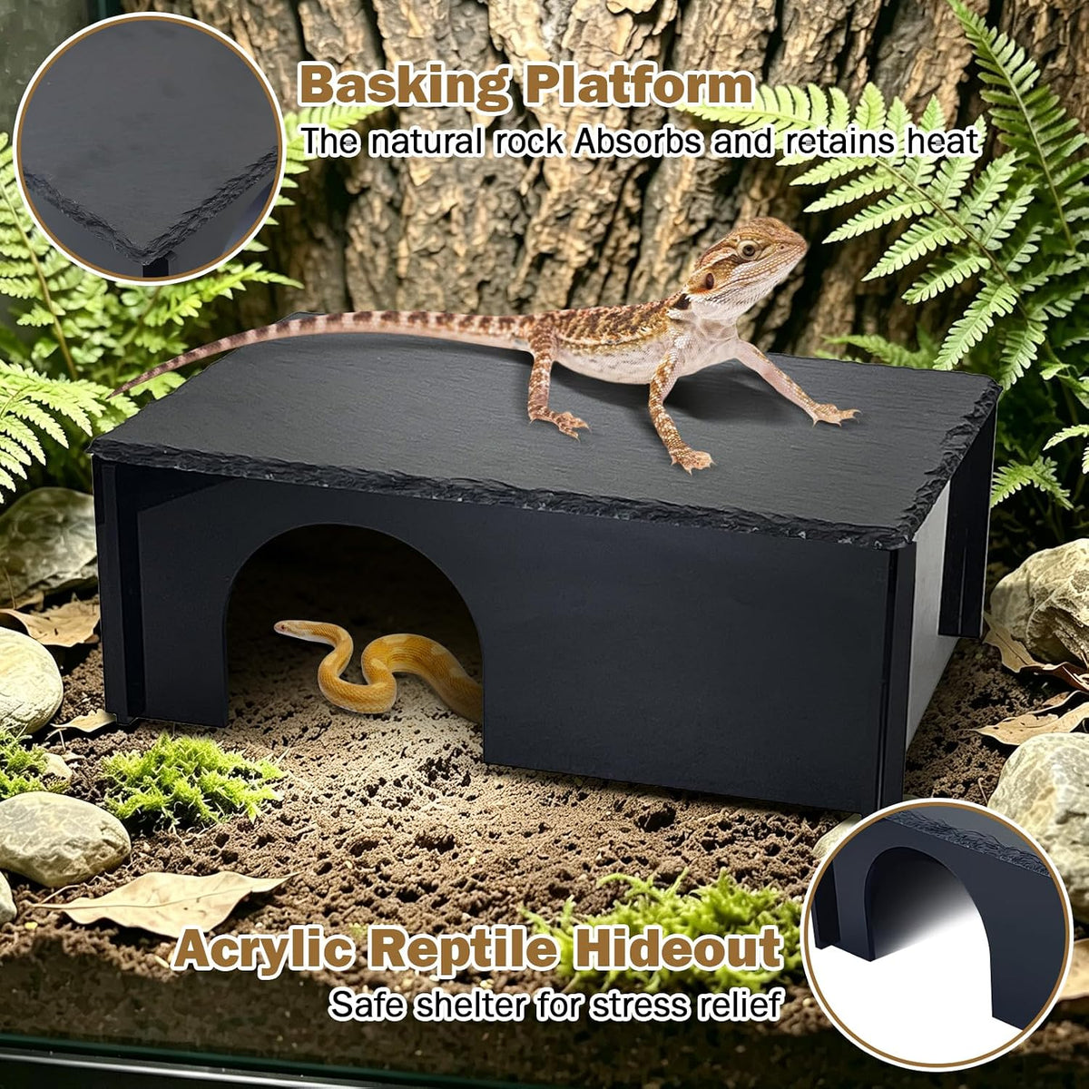 PINVNBY Bearded Dragon Hide Cave, Reptile Basking Platform with Slate Rock