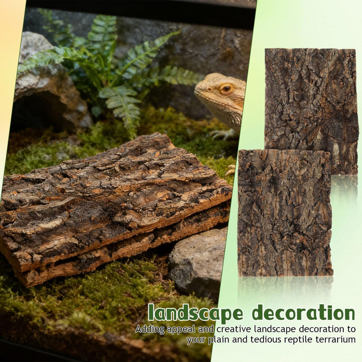 Reptile Bark Decor 2 pcs Natural Tree Bark for Terrarium Hideout and Climbing Surface for Lizards Geckos Snakes 7.67 X 5.82 X 0.39 in