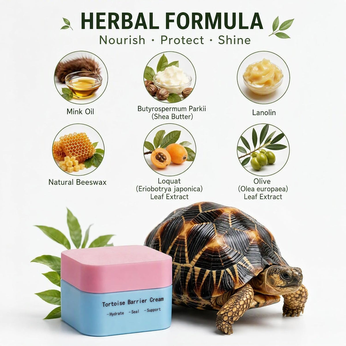 Tortoise Shell Conditioner Turtle Shell Balm Reptile Shell Care Moisturizer - Reptile Shell Balm for Tortoise Shell Conditioner Turtle Shell Care Saver