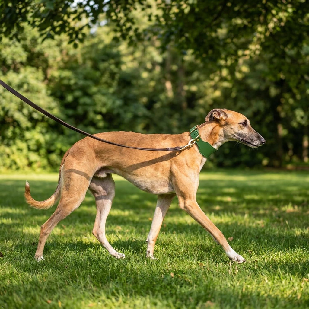 Handmade Greyhound Leather Collar Wide Full Grain Leather Dog Collar with Brass Buckle, Vintage Anti-Pull Whippet & Sighthound Collar for Hounds (Green,L-Neck 35-43cm)