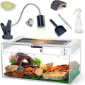 12.5x6x7 Reptile Terrarium Kit with Heat Lamp & Hideout for Geckos, Snakes