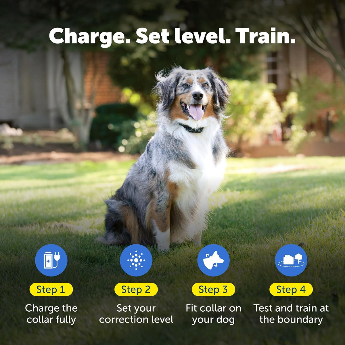 PetSafe YardMax Rechargeable In-Ground Fence Collar