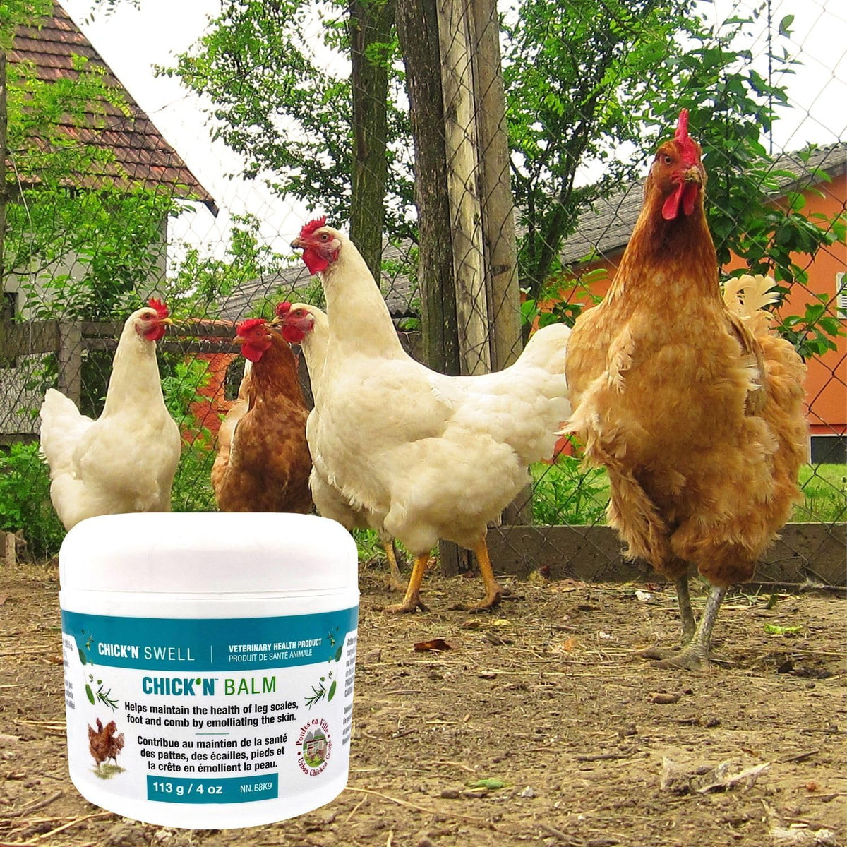 Premium Poultry Balm for Optimal Care and Healing-Chick'n Balm from Chick'n Swell - Legs- Wounds and Combs - with Healing Essential Oils and Sulfur, 4 Oz (113g).