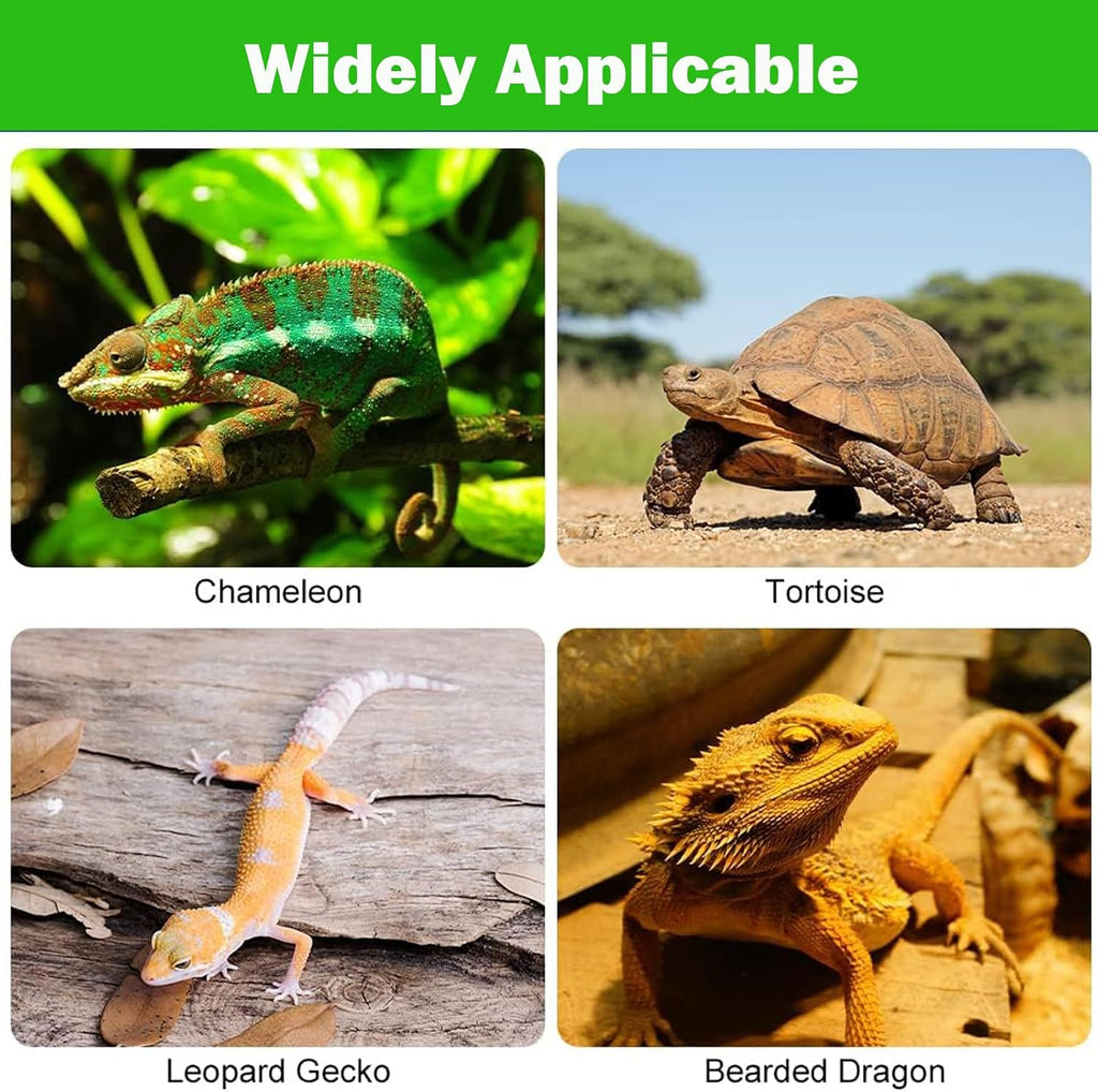 Bearded Dragon Tank Accessories Non-Adhesive Reptile Carpet