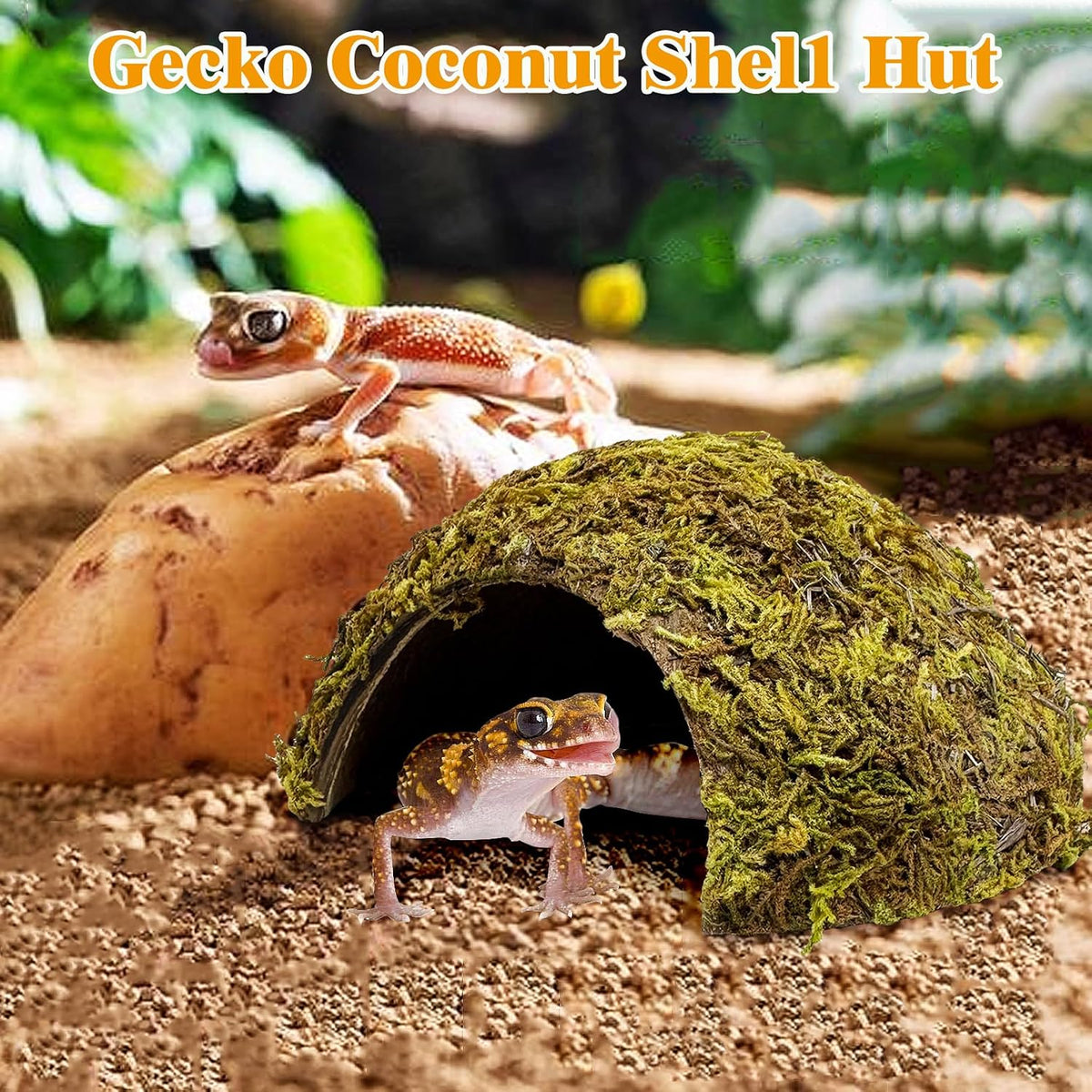 4 Pack Natural Green Moss Hermit Crab Hide Caves Coconut Reptile Hideouts