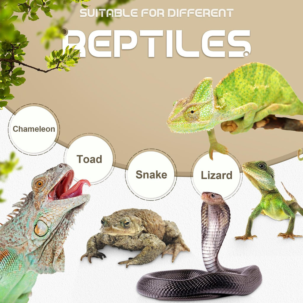 Chameleon Feeding Bowl, Hanging Insect Feeder with a Pillar for Prey to Climb Up, Suitable for Chameleon, Bearded Dragon, Lizard, Iguana, Gecko(Khaki)