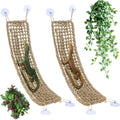 2 Pcs Bearded Dragon Hammock Reptile Lounger, Natural Seagrass Climbing Habitat Decor with Jungle Theme for Lizards, Geckos, Snakes, Iguanas, Amphibians and Terrarium