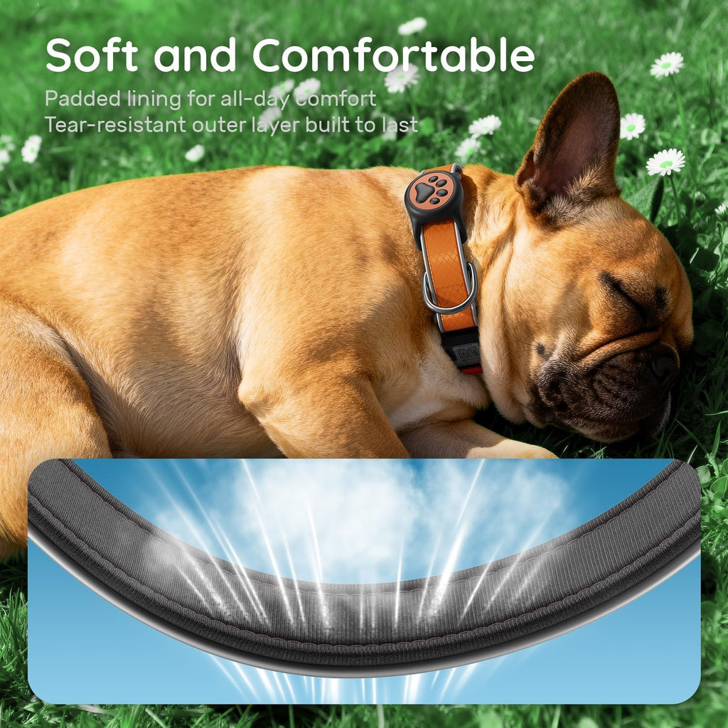 Reflective Dog Collar with Airtag Holder, IPX8 Waterproof Air Tag Dog Collar Holder | Ultra-Durable | Soft Padded | Safety Locking Buckle | Fit Small Dogs (OrangeXS(8"-12"))