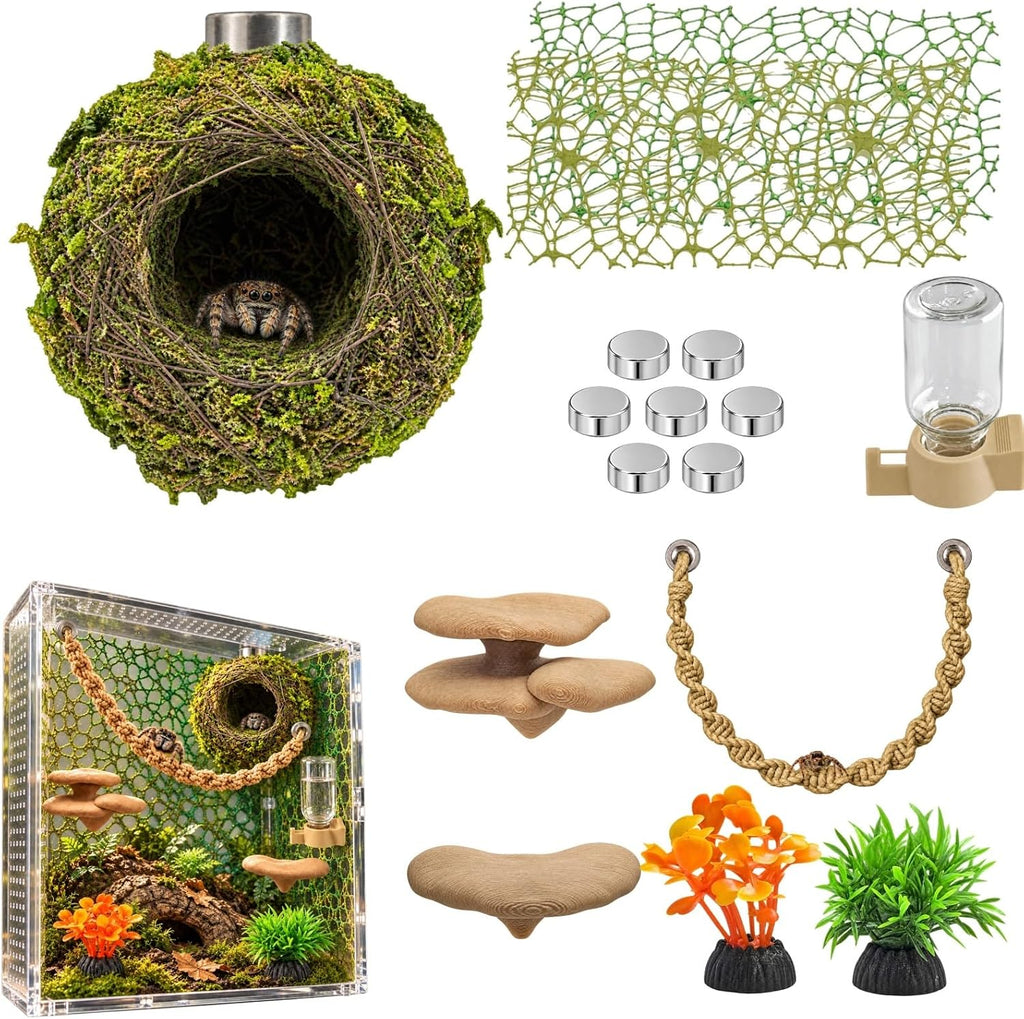 Jumping Spider Enclosure Accessories Kit with Moss Hide and Web