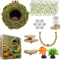 Jumping Spider Enclosure Accessories Kit with Moss Hide and Web