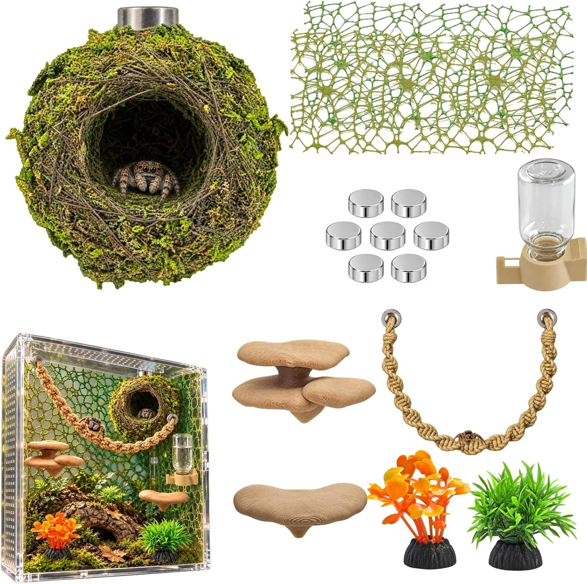 Jumping Spider Enclosure Accessories Kit with Moss Hide and Web