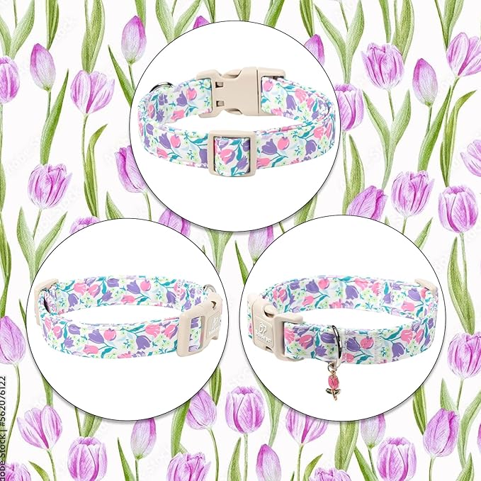 Floral Dog Collar for Large Dogs - Image 7