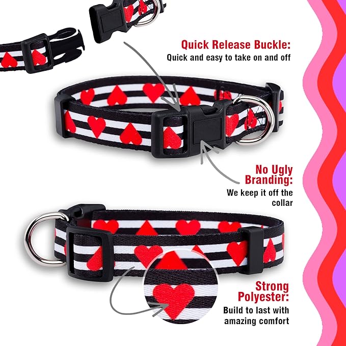 Native Pup Valentine’s Dog Collar- Valentines Day Pet Collars- Valentine Girly - Image 4