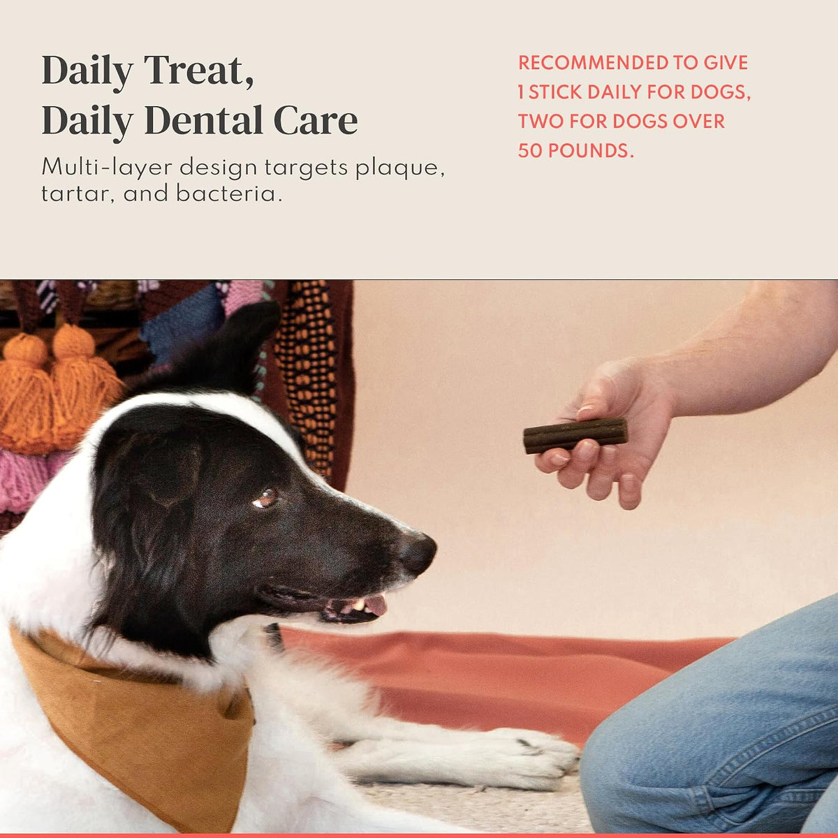Dental Sticks for Dogs - Freshens Breath, Cleans Teeth, Helps Remove Plaque