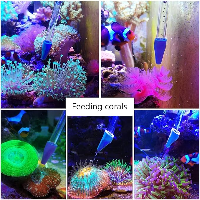 31.5Inch Long Corals Grabber, reefs Feeders, Aquarium Veggie Feedting Tool - Image 3
