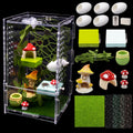 Jumping Spider Enclosure Kit, Acrylic Terrarium with Habitat Decor