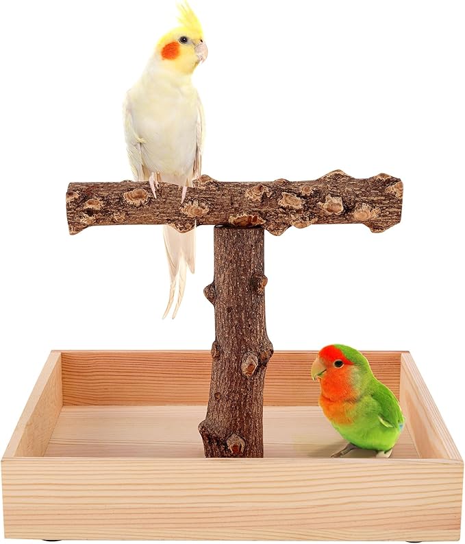 Bird Perch, Portable Tabletop Bird Stand, Training Play T Shaped Stand by Filhome