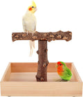 Bird Perch, Portable Tabletop Bird Stand, Training Play T Shaped Stand by Filhome