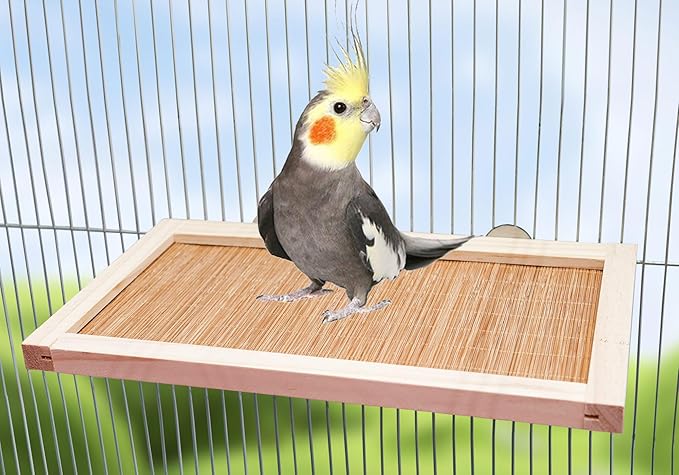 11.8×7.1 Inches Bird Perch Stand Platform, Natural Wooden and Bamboo Small - Image 2
