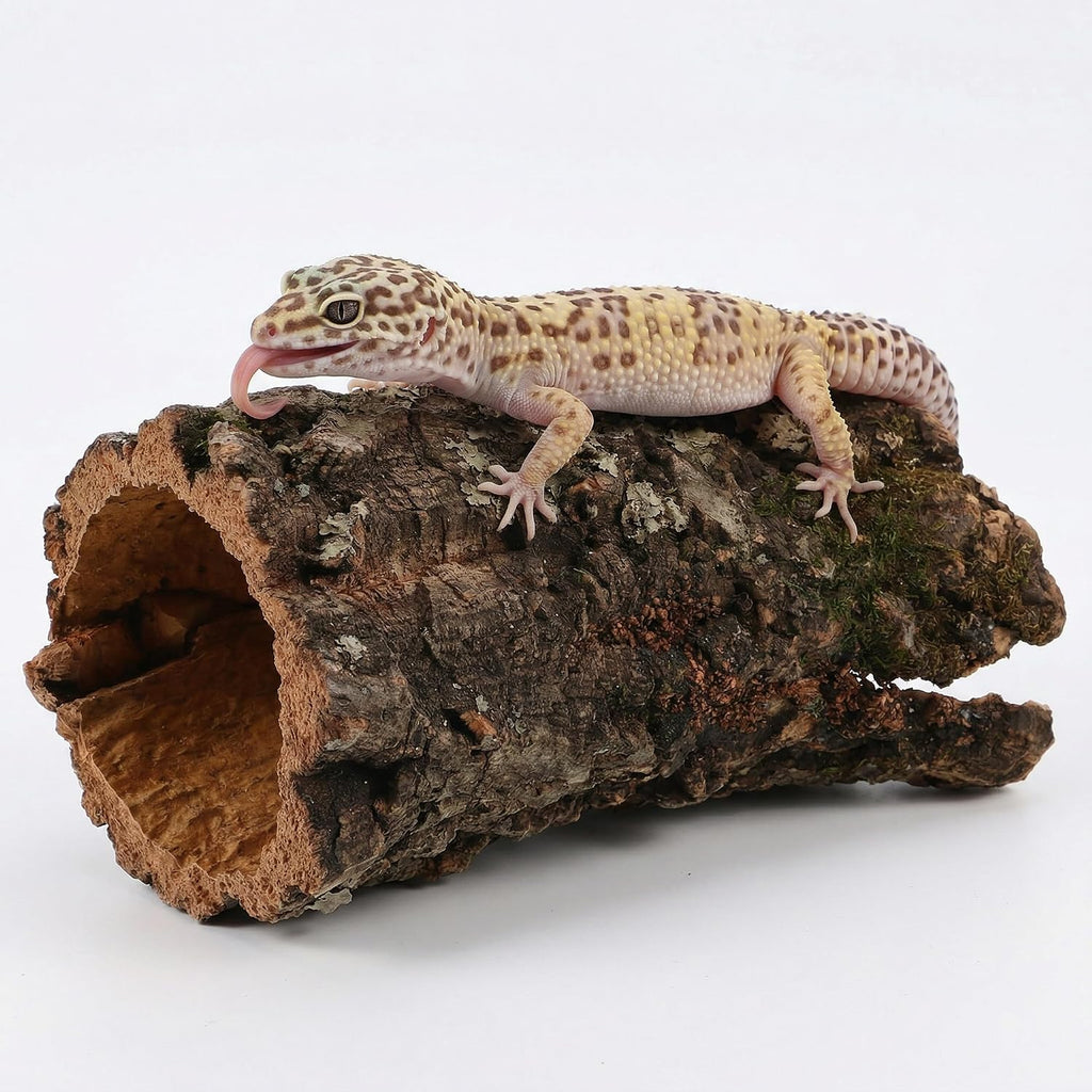 Veemoon Natural Tree Trunk Reptile Hide, Hollow Wood Log Lizard Hide Cave Reptile & Amphibian Habitat Hideouts Aquarium Climbing Platform Fish Tank Shelter Landscape for Pet Tank Supply, 8×4"