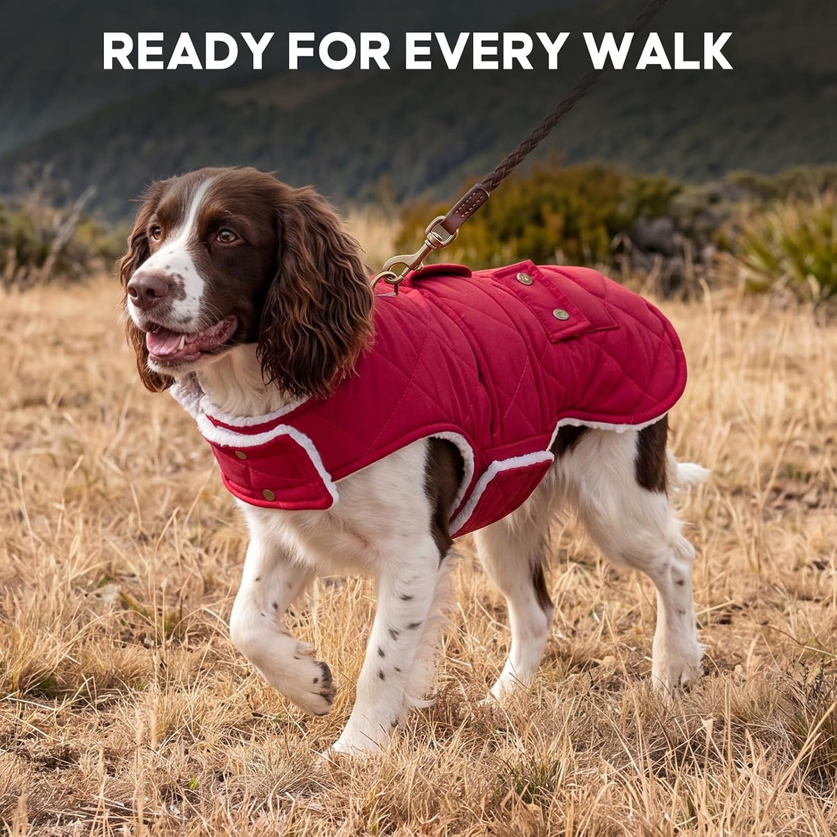 KYEESE Waterproof & Windproof Dog Coat for Small Dogs Puffer Jacket