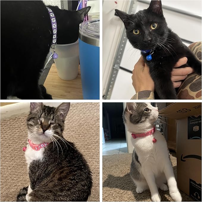 Sky Blue Reflective Cat Collar - Image 2