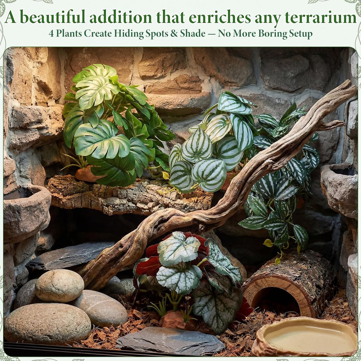 Suncalla 4 Pack Reptile Plants for Terrarium, Multiple