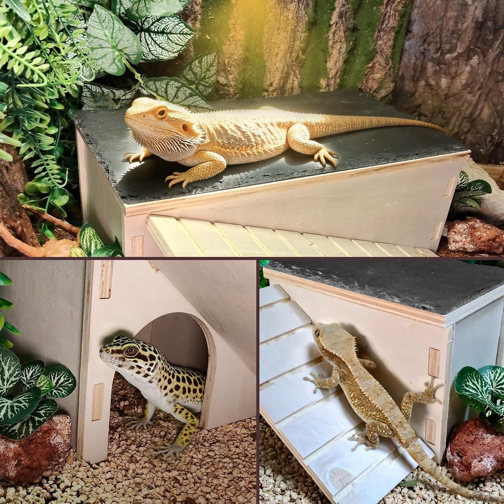 Bearded Dragon Basking Platform,Wood Reptile Hide Cave with Slate Rock,L