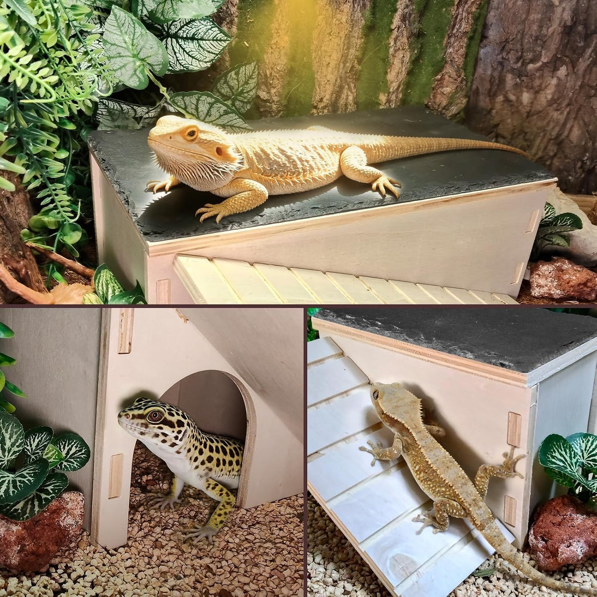 Bearded Dragon Basking Platform,Wood Reptile Hide Cave with Slate Rock,L
