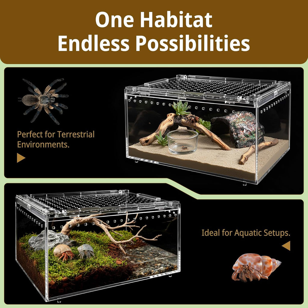Reptile Terrarium Starter Kit, PC Habitat w/Magnetic Lid & Full Ventilation, Scorpion Habitat, Tarantula Enclosure, Spiders Cage, Insect Terrarium, Mantis & Small Frog Terrarium, 8"x6"x4" Assembled