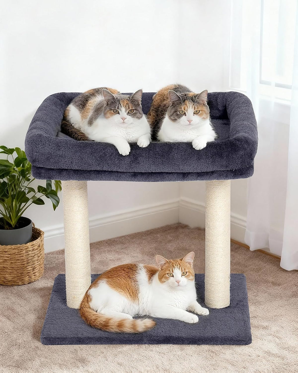 19" Small Cat Tree with Scratching Post for Indoor Cats with Perch