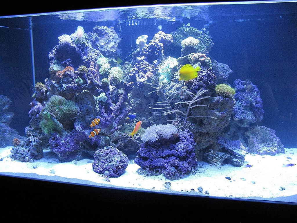 Kolar Labs GFO Bayoxide E33 Phosphate Remover – for Freshwater and Saltwater Aquariums, Reef Tanks, Promotes Coral Health (454g)