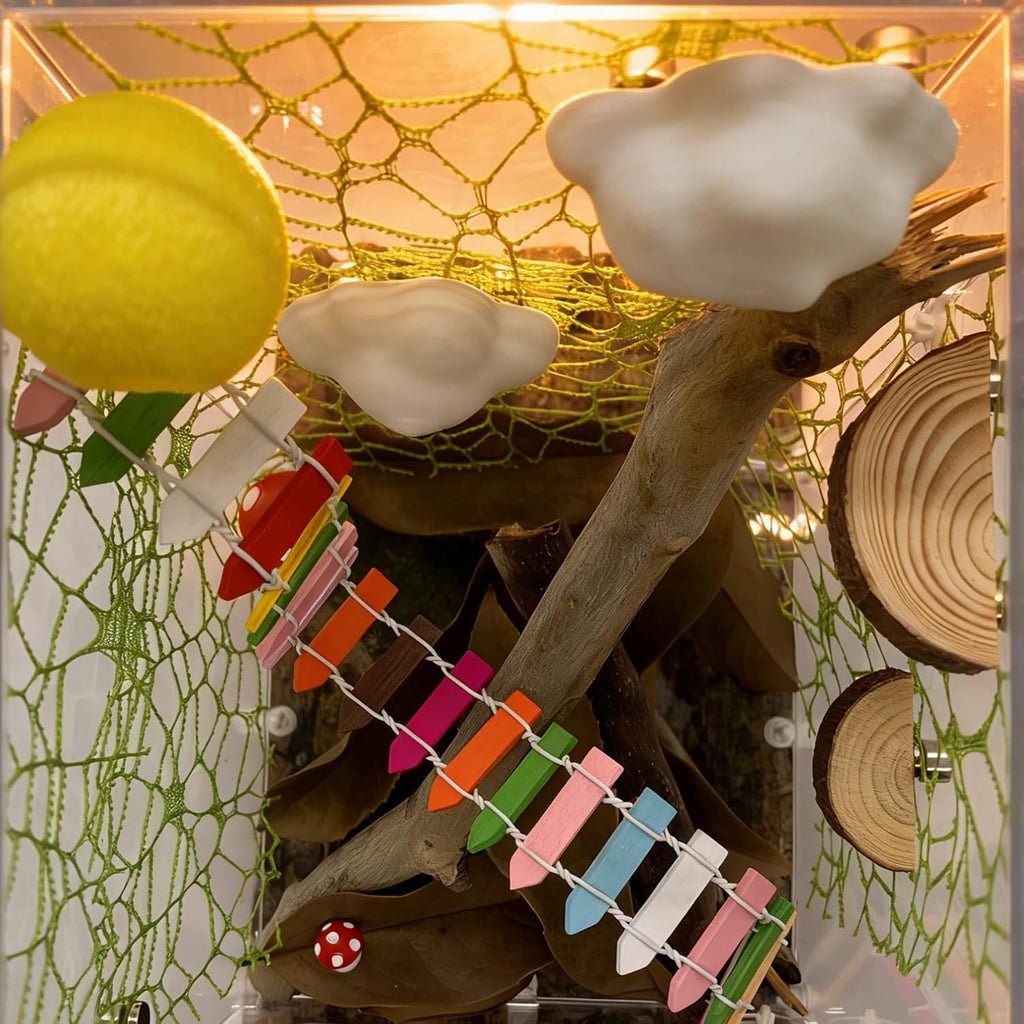 Jumping Spider Habitat Decor Kit with Platforms, Hideouts & Accessories