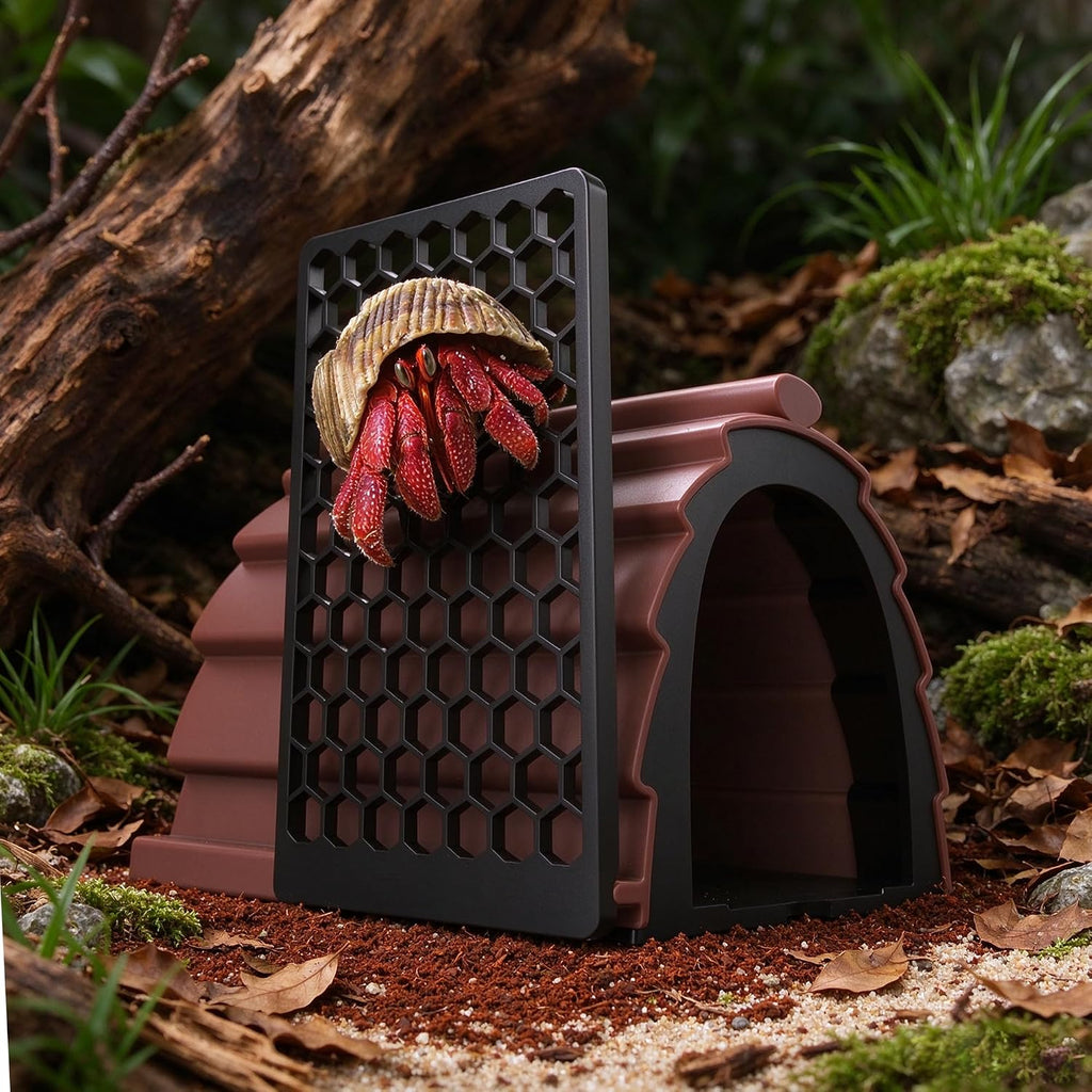 Moisture Resistant Hermit Crab Accessories, Foraging Cave with Ladder