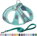 AIITLE Comfortable Dog Harness and Leash Set by AIITLE-FORPETSBETTERLIFE