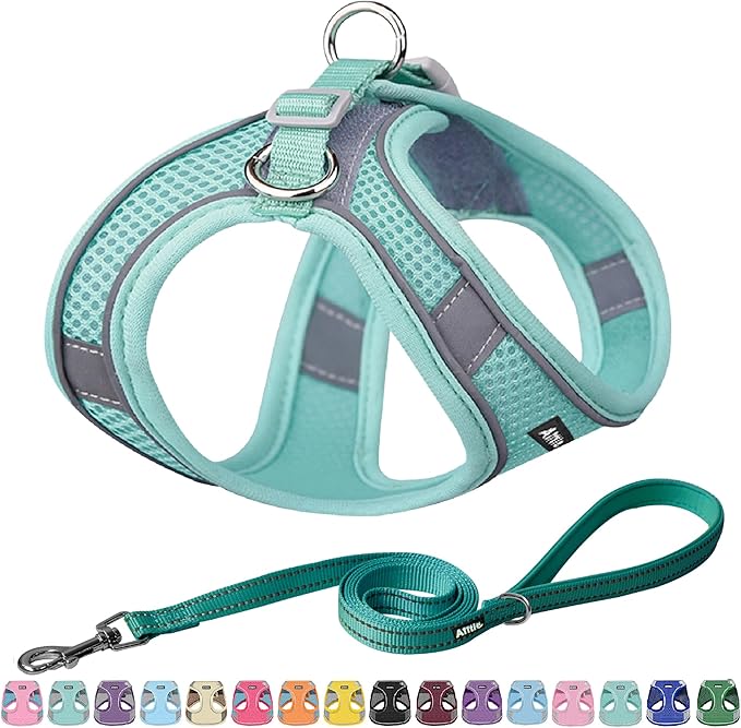 AIITLE Escape Proof Dog Harness by AIITLE-FORPETSBETTERLIFE