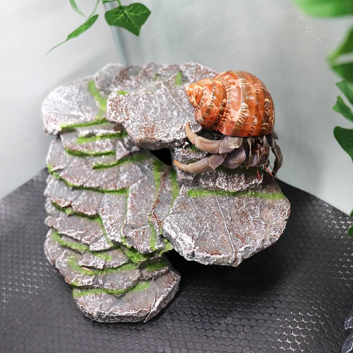 Hermit Crab Hideout, Resin Simulation Stone Reptile Cave Hideout, Hermit Crab Climbing Toys, Terrarium Habitat Decor for Lizard Spider Aquarium Fish Gecko Bearded Dragon