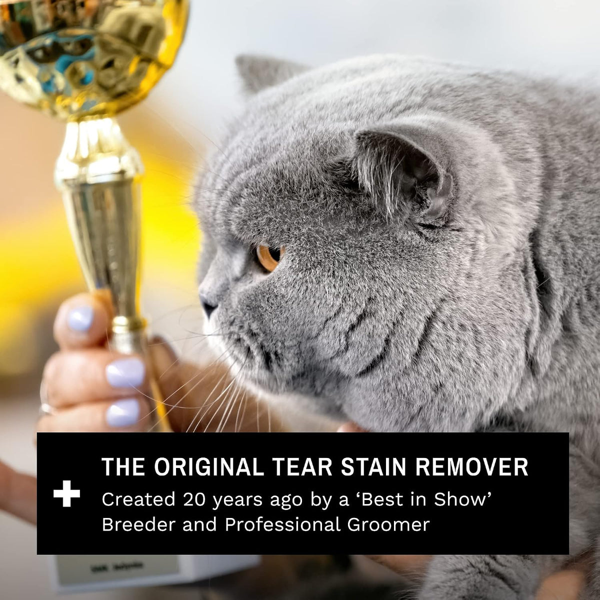 Eye Envy Cat Tear Stain Remover Starter Kit with ProPowder Brush. Stain Solution, Applicator Pads, Stain Powder, and Small Applicator Brush. Tear Stain Cleaning Kit. Lasts 30-45 Days. Made in USA.