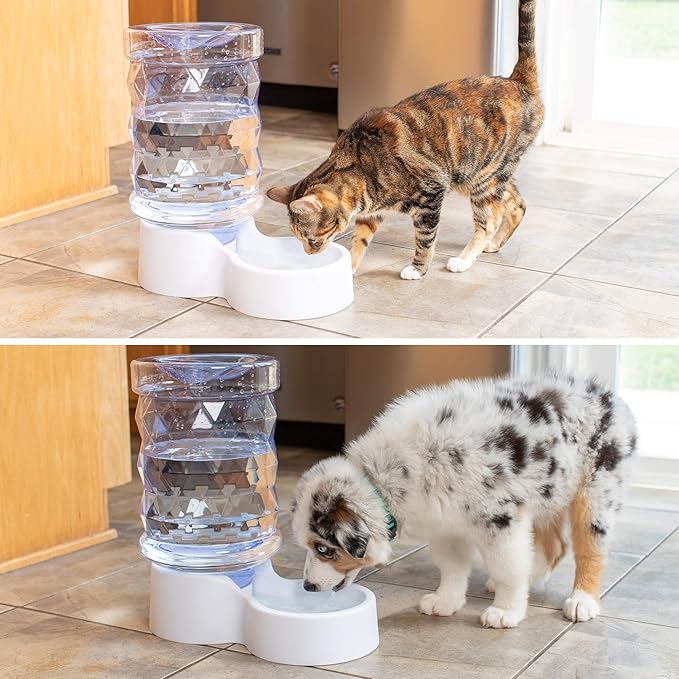 PetFusion H2O Gravity Pet Water Dispenser. Durable 2.5 Gallon Waterer Feeder. - Image 4