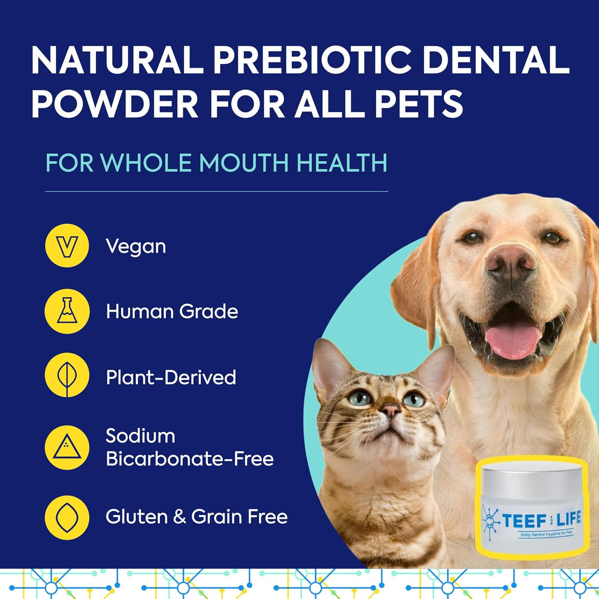 TEEF FOR LIFE Protektin42K Prebiotic Cat & Dog Dental Powder Kit