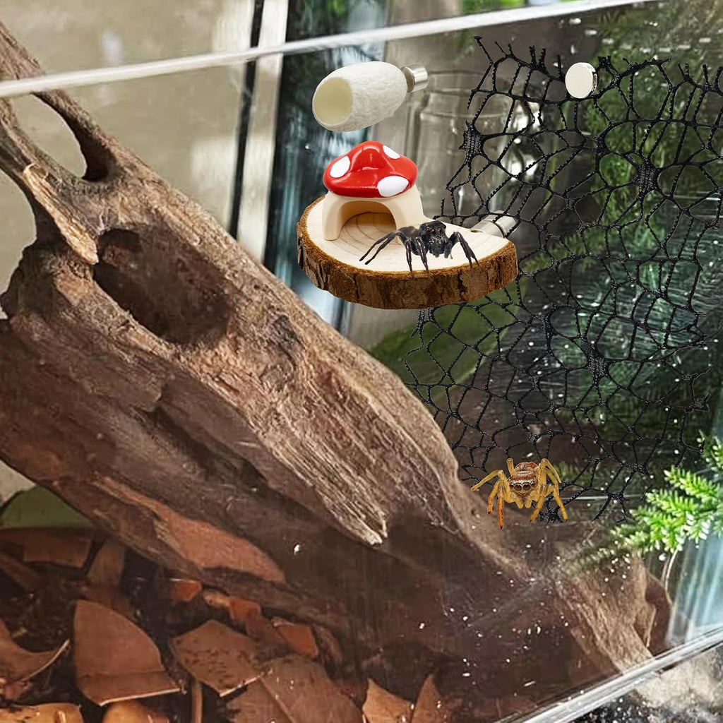 Jumping Spider Habitat Accessories Enclosure Habitat Accessories Jumping Spider Web Climbing and Feeding Platforms with Magnets for Small Insects Critters