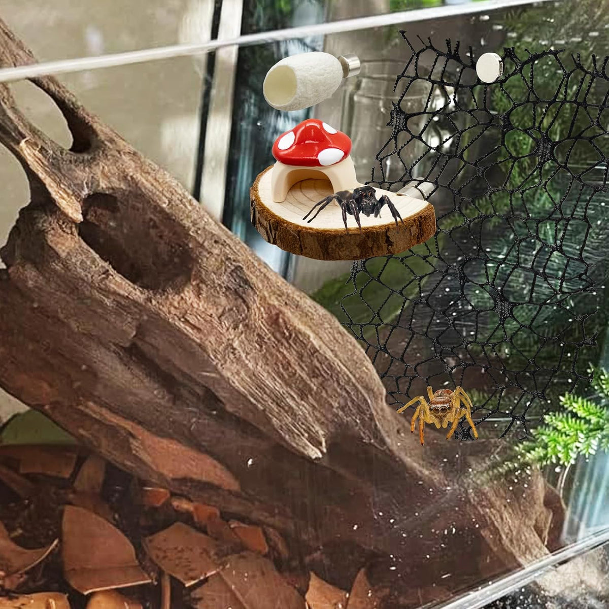 Jumping Spider Habitat Accessories Enclosure Habitat Accessories Jumping Spider Web Climbing and Feeding Platforms with Magnets for Small Insects Critters
