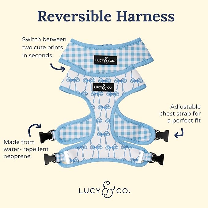 Lucy & Co. Cute Reversible Dog Harness Walking Halter - Image 5